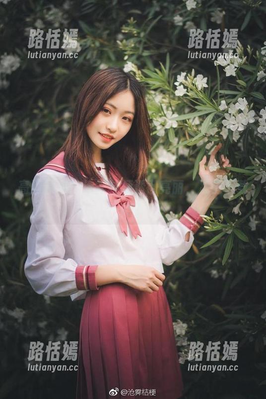 高清预警！沧霁桔梗透彻亮丽，准备下载吗？